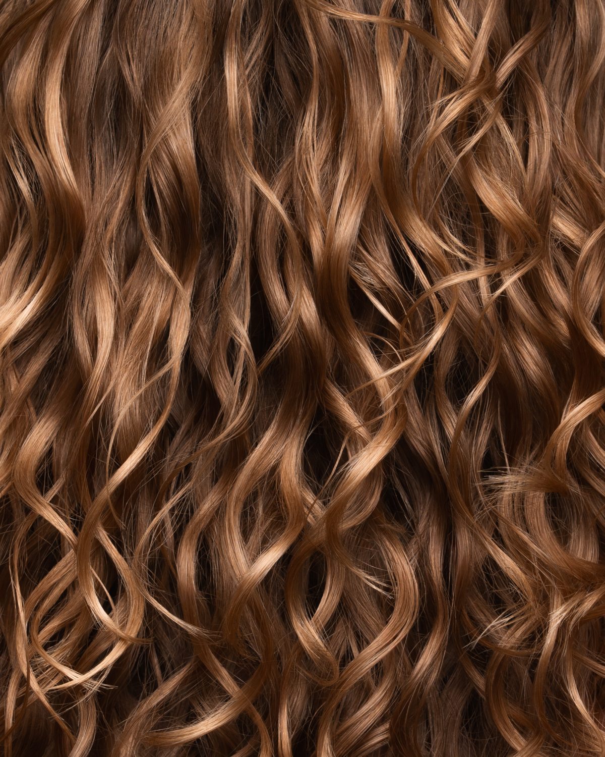 detailed-closeup-photography-curly-hair
